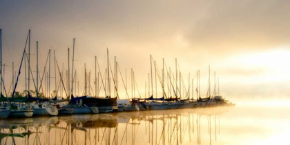 Picture of MARINA MORNING I