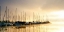Picture of MARINA MORNING I