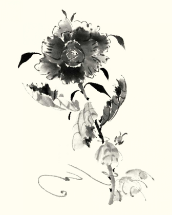 Picture of STUDIES IN INK - ROSE I