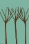 Picture of DICHROMATIC ELMS II
