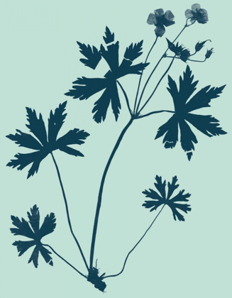 Picture of INDIGO AND MINT BOTANICAL STUDY III