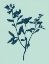 Picture of INDIGO AND MINT BOTANICAL STUDY VII