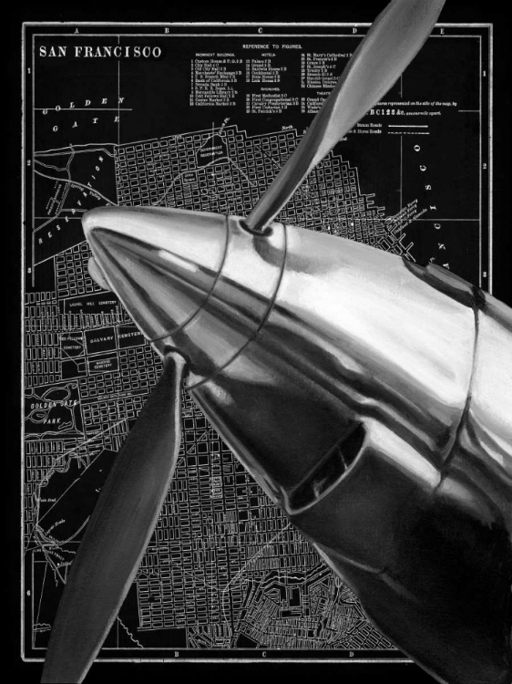 Picture of VINTAGE PLANE II