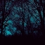 Picture of NOCTURNE III