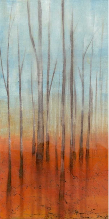 Picture of BIRCH FOREST I