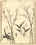 Picture of BAMBOO WOODBLOCK II