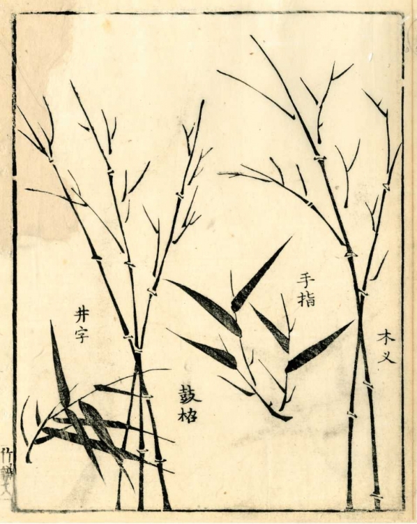 Picture of BAMBOO WOODBLOCK II