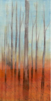 Picture of BIRCH FOREST II