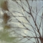 Picture of DIFFUSE BRANCHES I