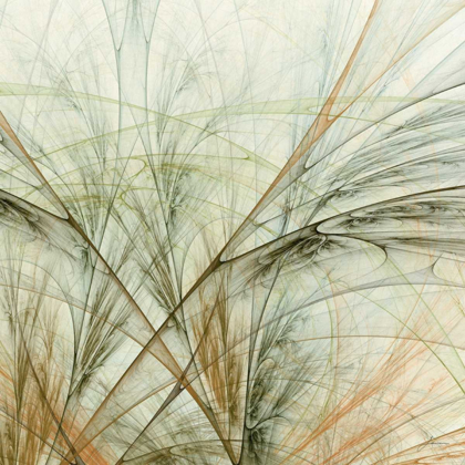 Picture of FRACTAL GRASS VI