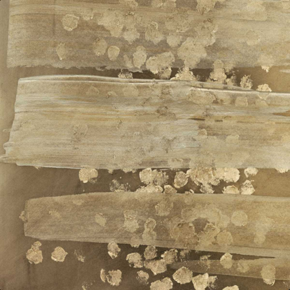 Picture of GOLDEN RULE IV