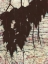 Picture of BATIK HANGING LEAVES I