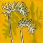 Picture of GOLD BATIK BOTANICAL V