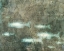 Picture of NEW SCHOOL II
