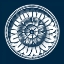 Picture of CLASSIC MEDALLION ON NAVY IV