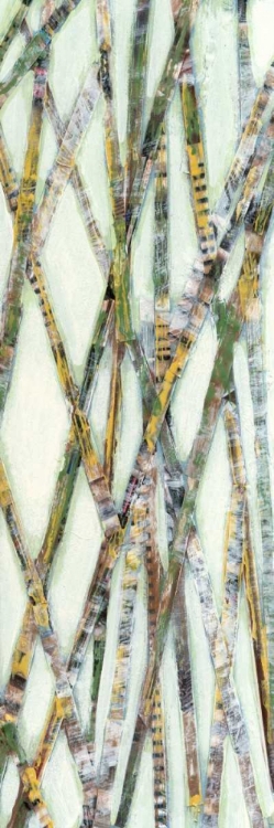 Picture of LEMONGRASS IV