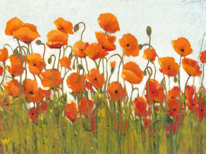 Picture of ROWS OF POPPIES II
