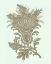 Picture of CELADON FLORAL MOTIF I