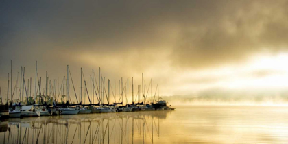 Picture of MARINA MORNING II