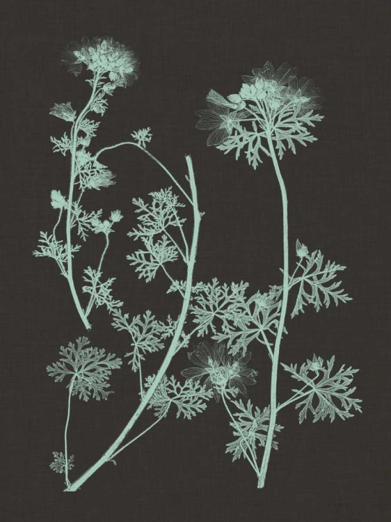 Picture of MINT AND CHARCOAL NATURE STUDY IV