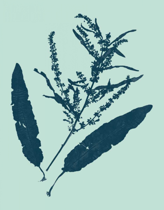 Picture of INDIGO AND MINT BOTANICAL STUDY IV