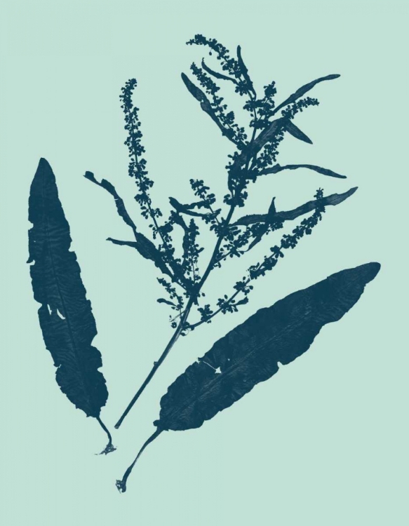 Picture of INDIGO AND MINT BOTANICAL STUDY IV