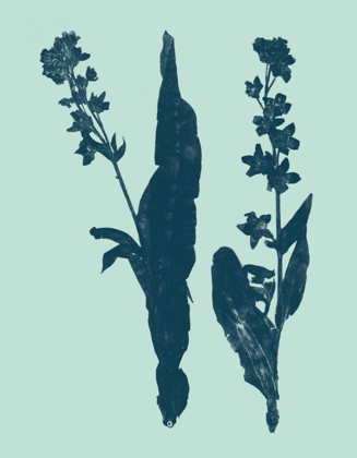 Picture of INDIGO AND MINT BOTANICAL STUDY VIII