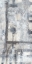 Picture of GREY MATTER II