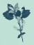 Picture of INDIGO AND MINT BOTANICAL STUDY V