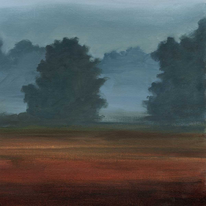 Picture of EARLY MORNING MIST II