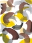 Picture of PARENTHESIS II