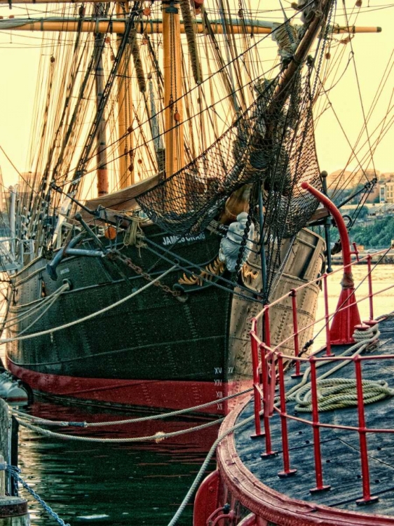 Picture of TALL SHIPS IN DARLING HARBOUR