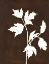 Picture of FOUR SEASONS FOLIAGE IV