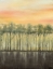 Picture of DUSK IN SUMMER