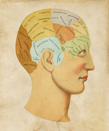 Picture of VINTAGE PHRENOLOGY
