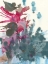 Picture of SEA SPLOTCH