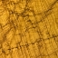 Picture of NATURES TEXTURES I