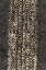 Picture of PRIMITIVE PATTERNS V