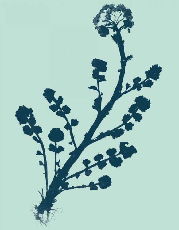 Picture of INDIGO AND MINT BOTANICAL STUDY II