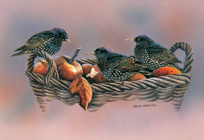 Picture of FAMILY BIRDS