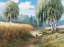 Picture of PHEASANTS