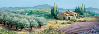 Picture of PROVENCE II