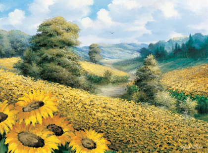 Picture of SUNFLOWER HILL