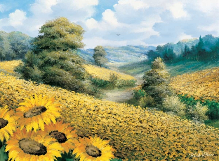 Picture of SUNFLOWER HILL