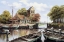 Picture of DUTCH WATERHOUSE