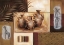 Picture of POTS II