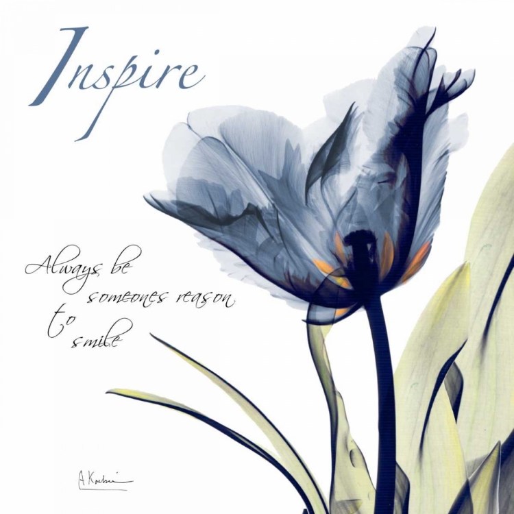 Picture of TULIP INSPIRE