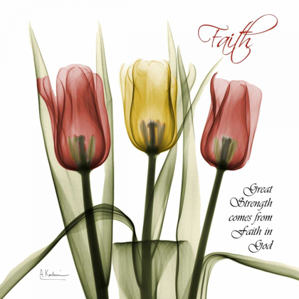 Picture of FAITH TULIPS