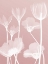 Picture of PINK FLORA 2 