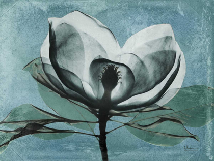 Picture of MAGNOLIA BLUES 1